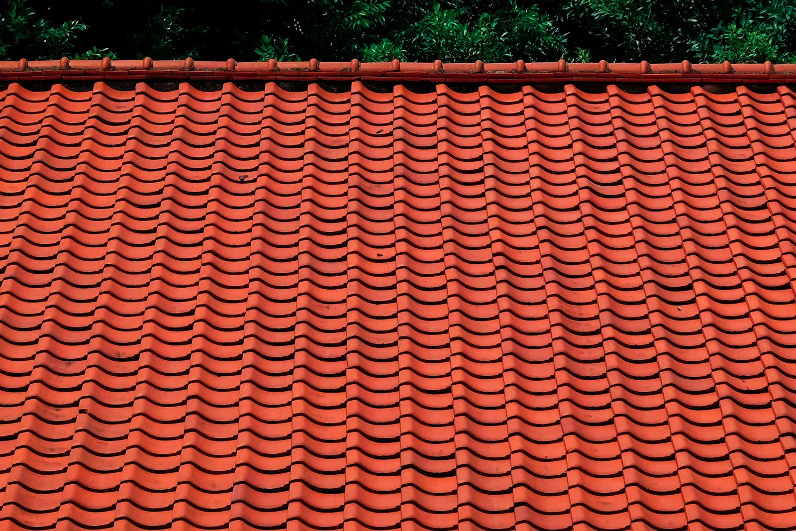 Roof geometry observed in the field